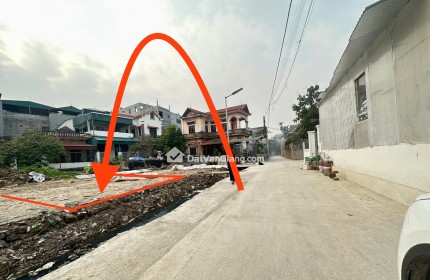 Bán đất đấu giá công luận 2 - văn giang 111m² đất ở đô thị, 2 mặt đường, trung tâm thị trấn